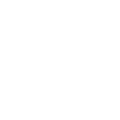 Ipswich City Council